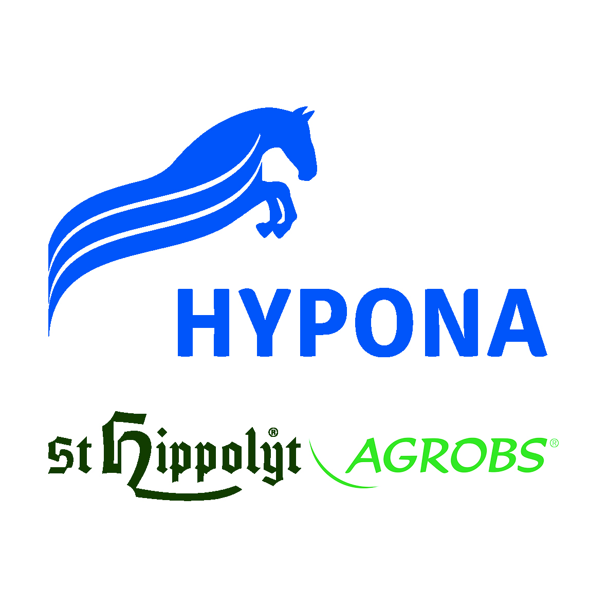 Hypona